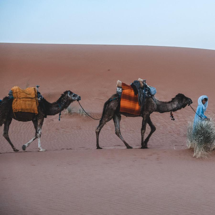 메르주가 Camel Luxury Camp B&B 외부 사진